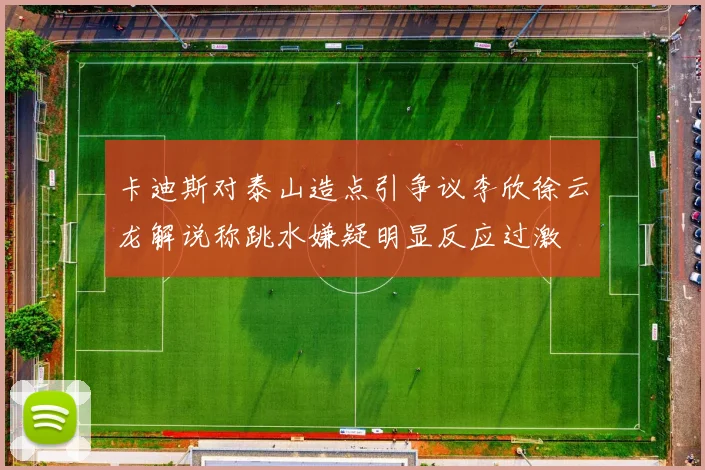 卡迪斯对泰山造点引争议李欣徐云龙解说称跳水嫌疑明显反应过激