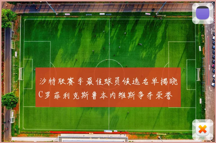 沙特联赛季最佳球员候选名单揭晓C罗菲利克斯鲁本内维斯争夺荣誉