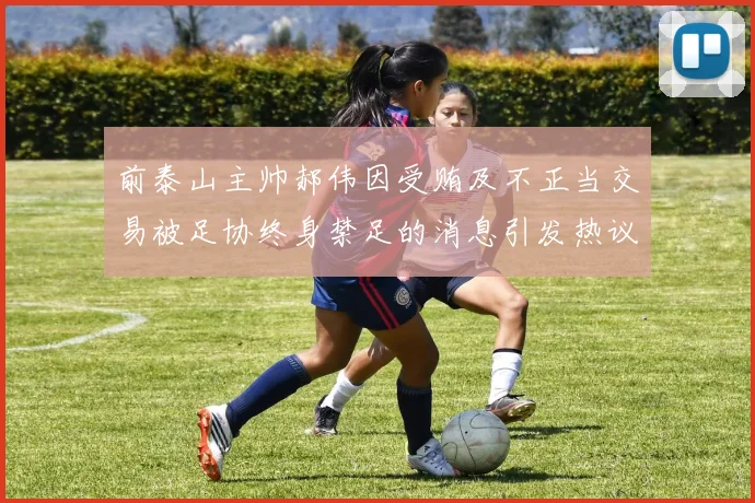 前泰山主帅郝伟因受贿及不正当交易被足协终身禁足的消息引发热议