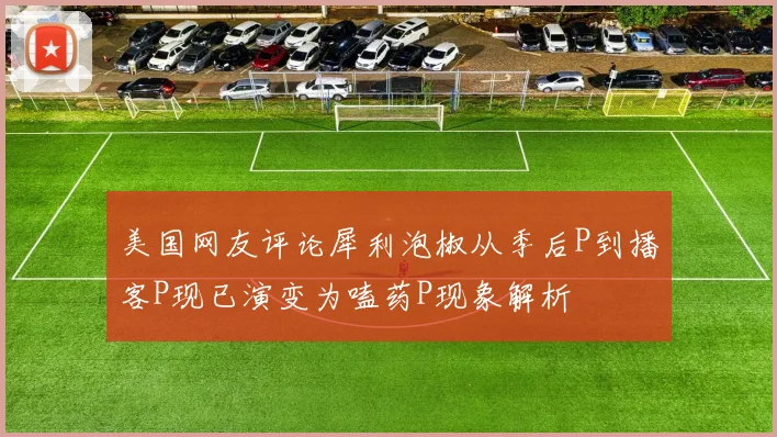 美国网友评论犀利泡椒从季后P到播客P现已演变为嗑药P现象解析