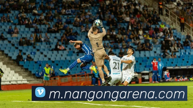 南宫28平台生态图